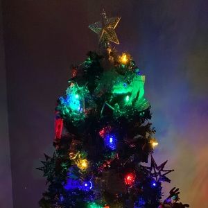 Meet your Posher, Alisha